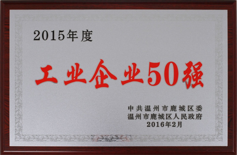 2016年 溫州市鹿城區(qū)工業(yè)企業(yè)50強（2015年度）